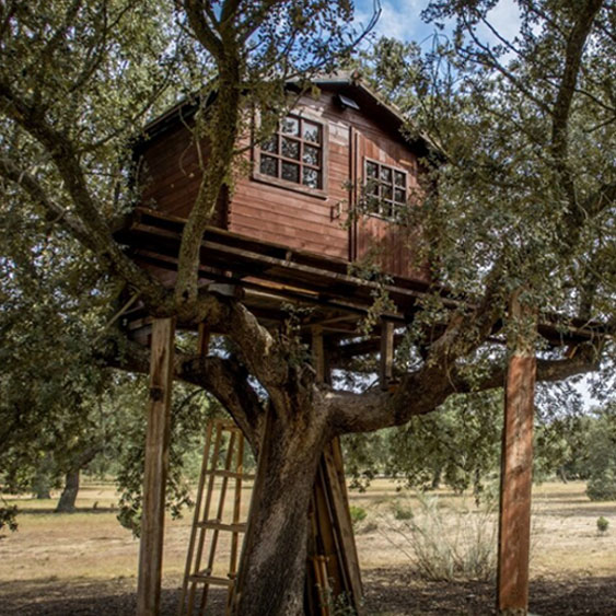 En hauteur